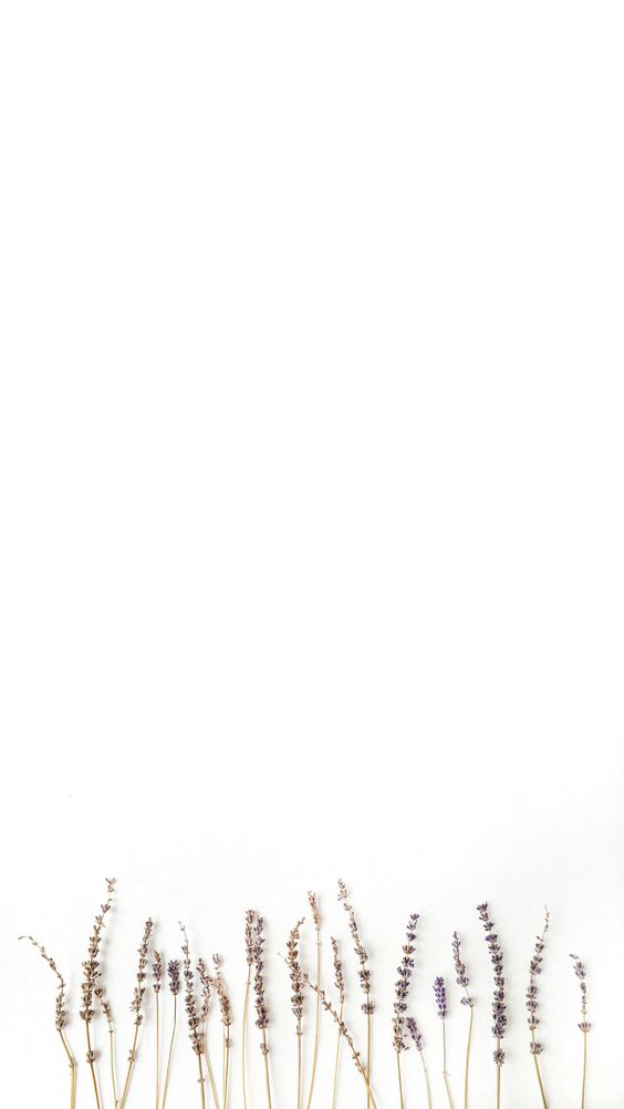 صفحه سفید ساده برای نوشتن