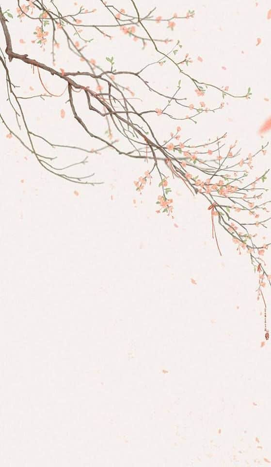 صفحه سفید ساده برای نوشتن