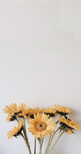 صفحه سفید ساده برای نوشتن