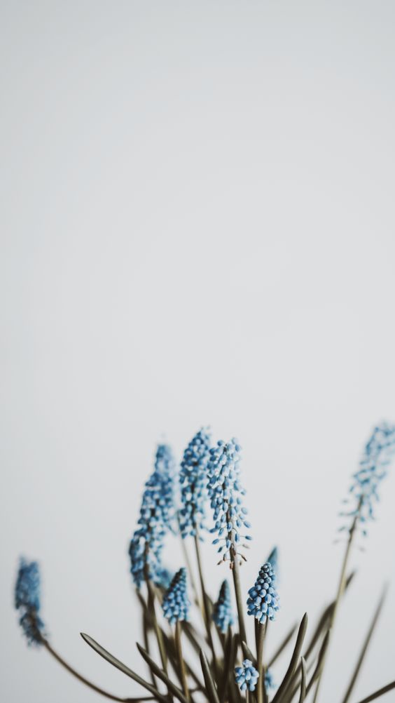 صفحه سفید ساده برای نوشتن