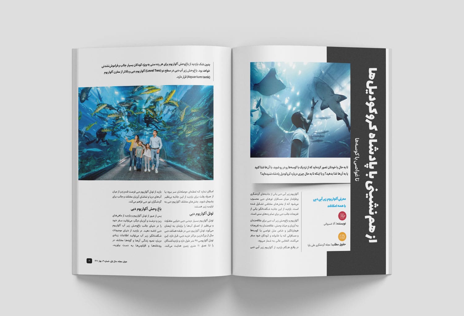 قالب آماده صفحه آرایی و طراحی مجله ایرانی کودک و نشریه الکترونیکی هنری فارسی با ایندیزاین