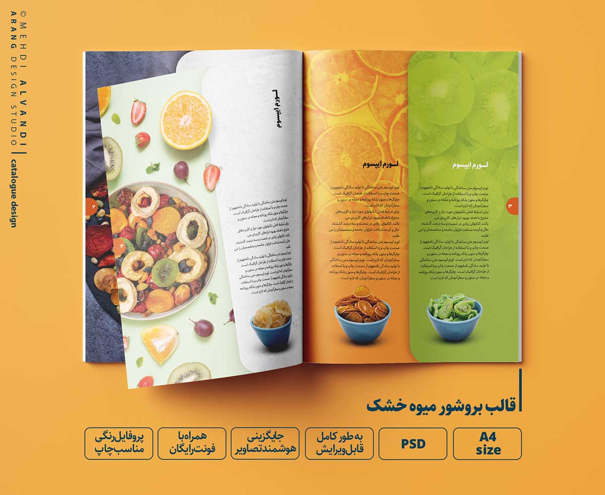 دانلود قالب کاتالوگ و بروشور تبلیغات شرکت میوه خشک در فوتوشاپ psd